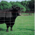 Agriculture Fence for Animal